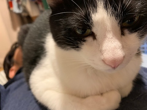 o63d7acbb250cadafb6d8133417955d69_4620693218537820566_201028