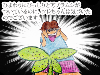 【漫画】♂♂ゲイです、ほぼ夫婦です-4