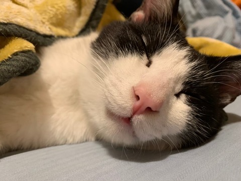 LINE_ALBUM_20200630 _2_251004_1