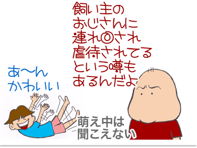 【漫画】♂♂ゲイです、ほぼ夫婦です-3