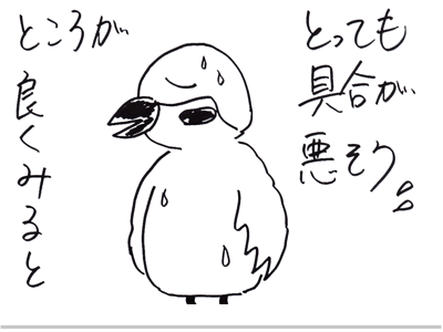 【漫画】♂♂ゲイです、ほぼ夫婦です-3