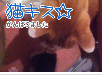 【漫画】♂♂ゲイです、ほぼ夫婦です-11