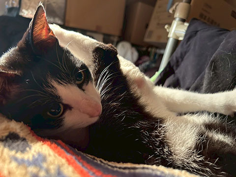 LINE_ALBUM_20190609_250531_1