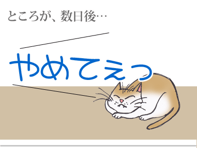 【漫画】♂♂ゲイです、ほぼ夫婦です-11