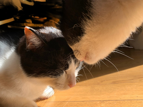 o63d7acbb250cadafb6d8133417955d69_4620693218537820566_201024_0