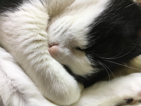 バルセロナ_180608_0420