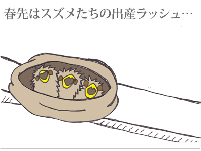 【漫画】♂♂ゲイです、ほぼ夫婦です-1