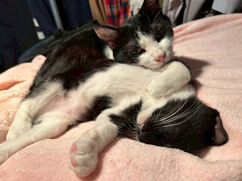 LINE_ALBUM_ダンス武新年会_260117_2