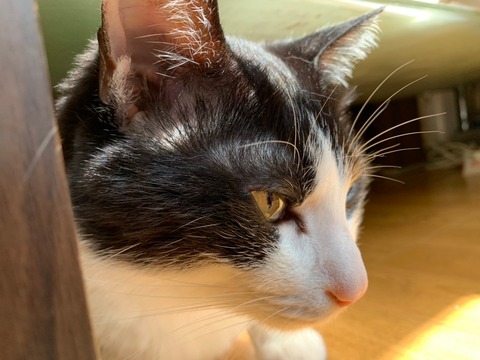 o63d7acbb250cadafb6d8133417955d69_4620693218537820566_201024