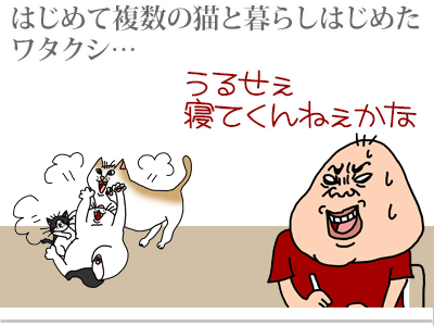 【漫画】♂♂ゲイです、ほぼ夫婦です-1