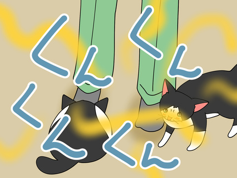 005