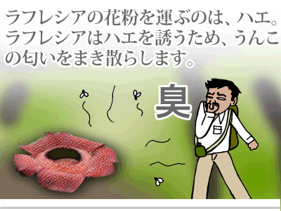【漫画】♂♂ゲイです、ほぼ夫婦です-2