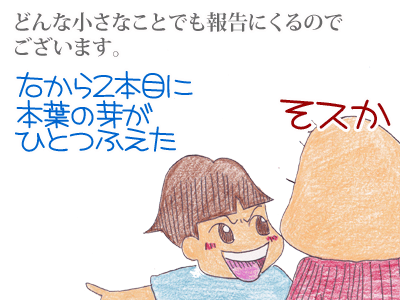 【漫画】♂♂ゲイです、ほぼ夫婦です-2