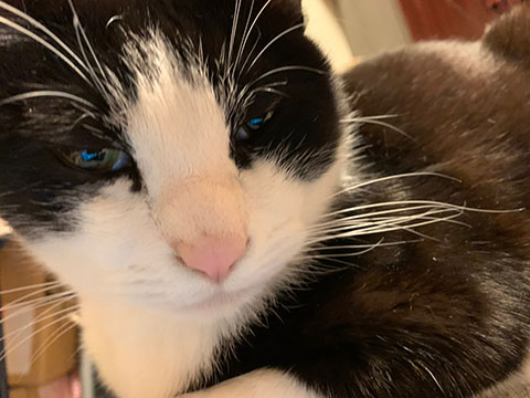 008