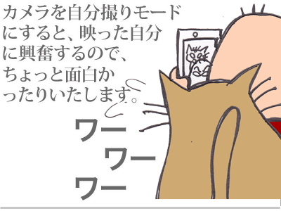 【漫画】♂♂ゲイです、ほぼ夫婦です-3