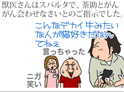 【漫画】♂♂ゲイです、ほぼ夫婦です-4