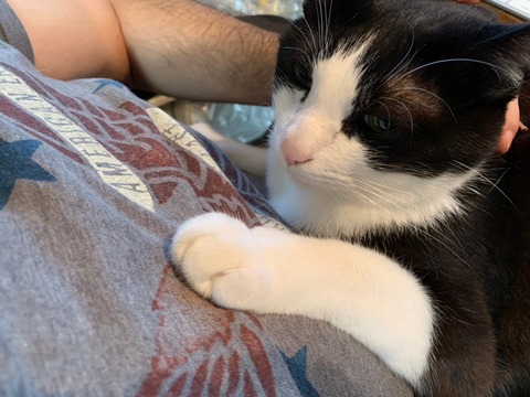 o63d7acbb250cadafb6d8133417955d69_4620693218537820566_201024