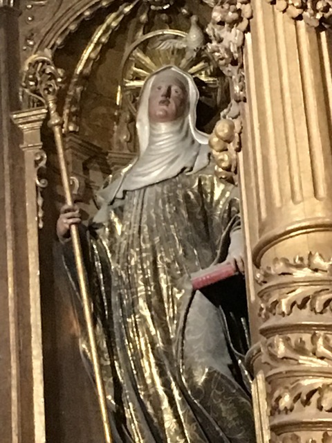 IMG_7856