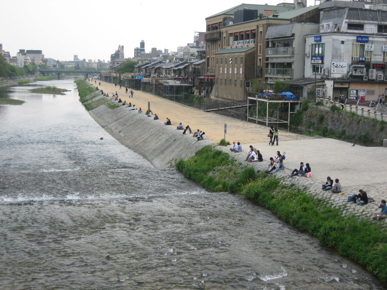 鴨川　対岸　盗撮 京都の鴨川がえらいことになってるｗｗｗｗｗｗｗｗ : 青薔薇の宴