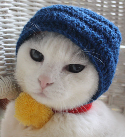 リアルドラえもん garo1959