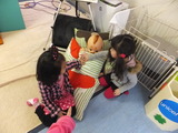 DSCF2385
