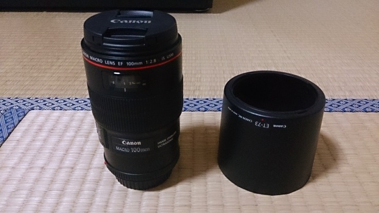 0B76CB1E-4DDE-4D67-A249-B490C24B2810