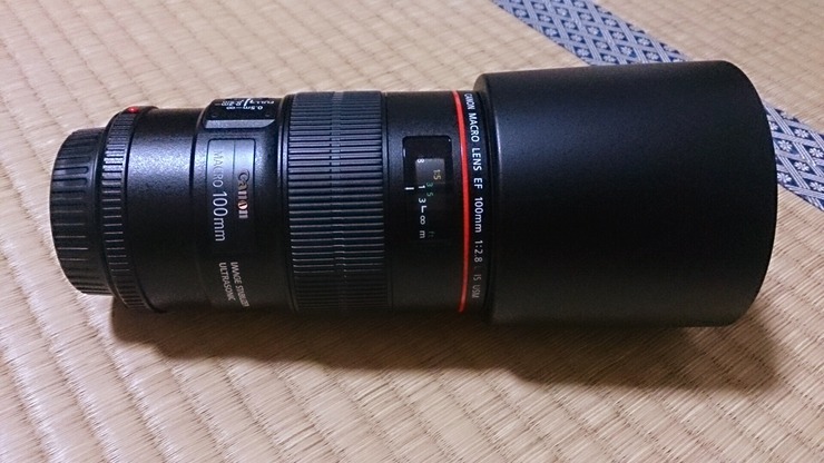 B4DA7942-FF60-41AA-8546-3633E7F1B69C