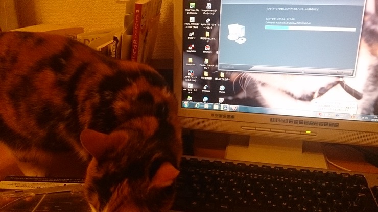 AA801B0E-BA70-463E-A8C6-BDB434EC19D1