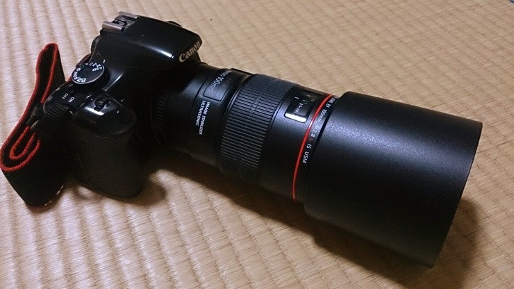 5DC223F2-E3B6-4804-A4E8-25A8352D9BB4