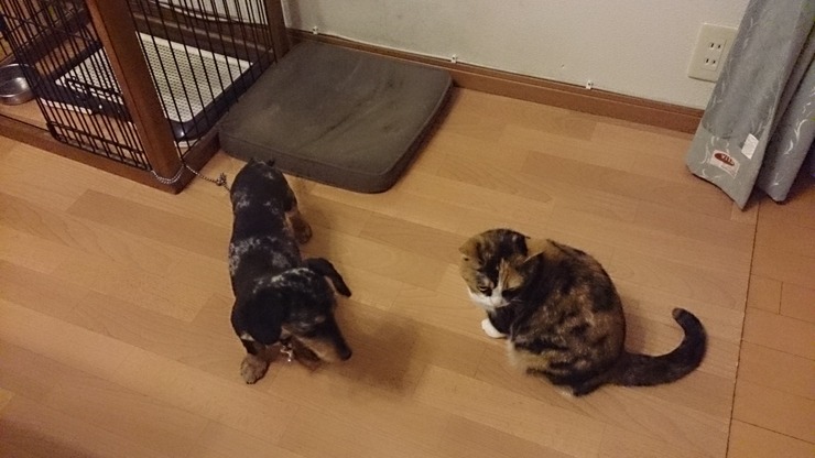 D15073F8-BDAA-4E79-B340-E6D87592D094