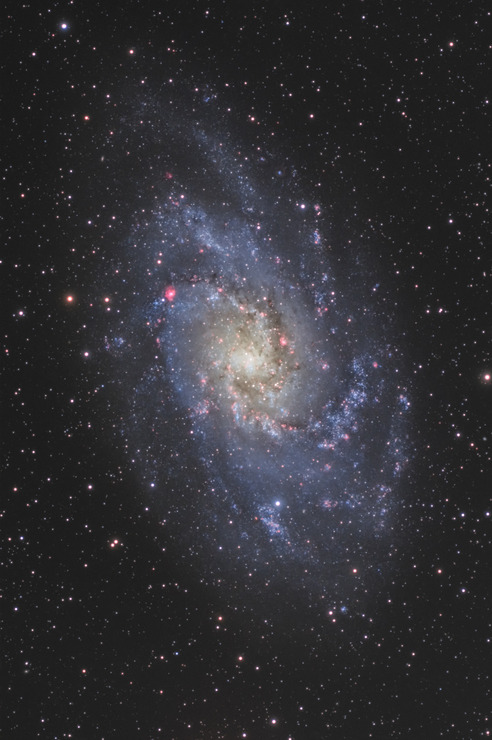 376A5AF4-D1F3-44BD-9DAB-A2D821535AC3