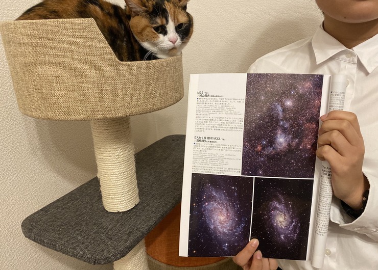 25F56E1E-776F-4786-8D9B-5B8A1A11FC88