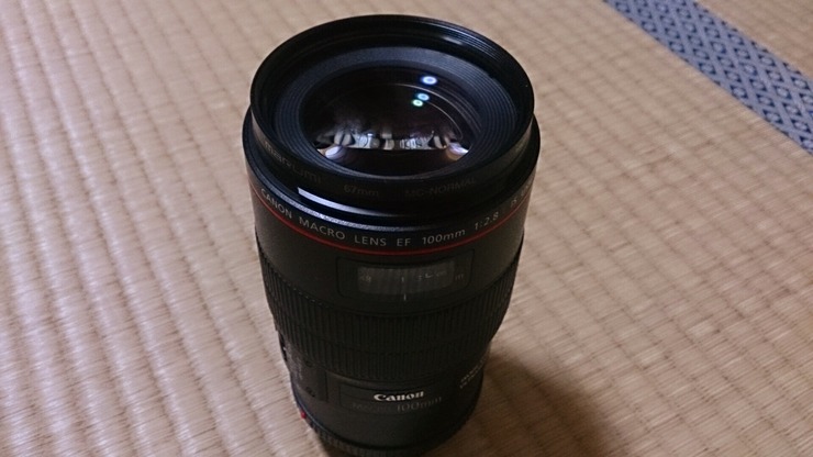 EE8B1239-EFA9-4C68-A3DA-DC60F1B0EDC0