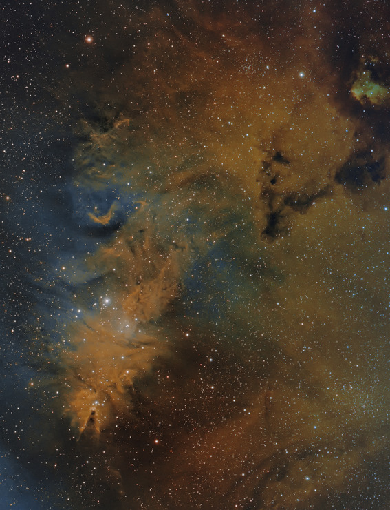 C137318A-A748-4D1B-A523-B6D1DED8190F