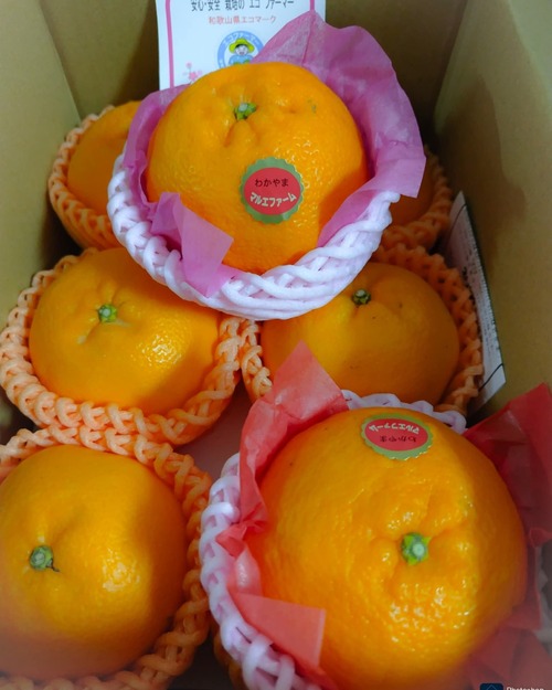 FB_IMG_1770507467158