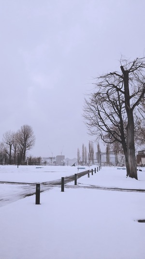 2019-12-11-15-46-38