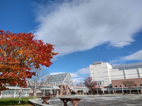 IMG_20201025_121311184_HDR