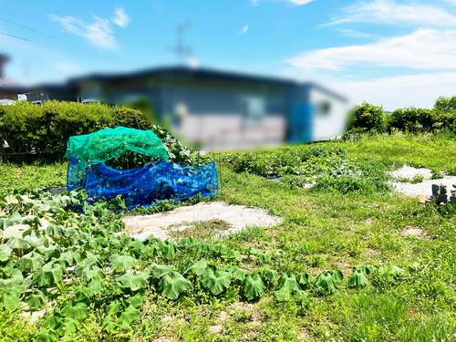 太郎ファーム全景