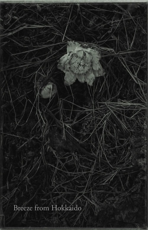 FB_IMG_1772766373030