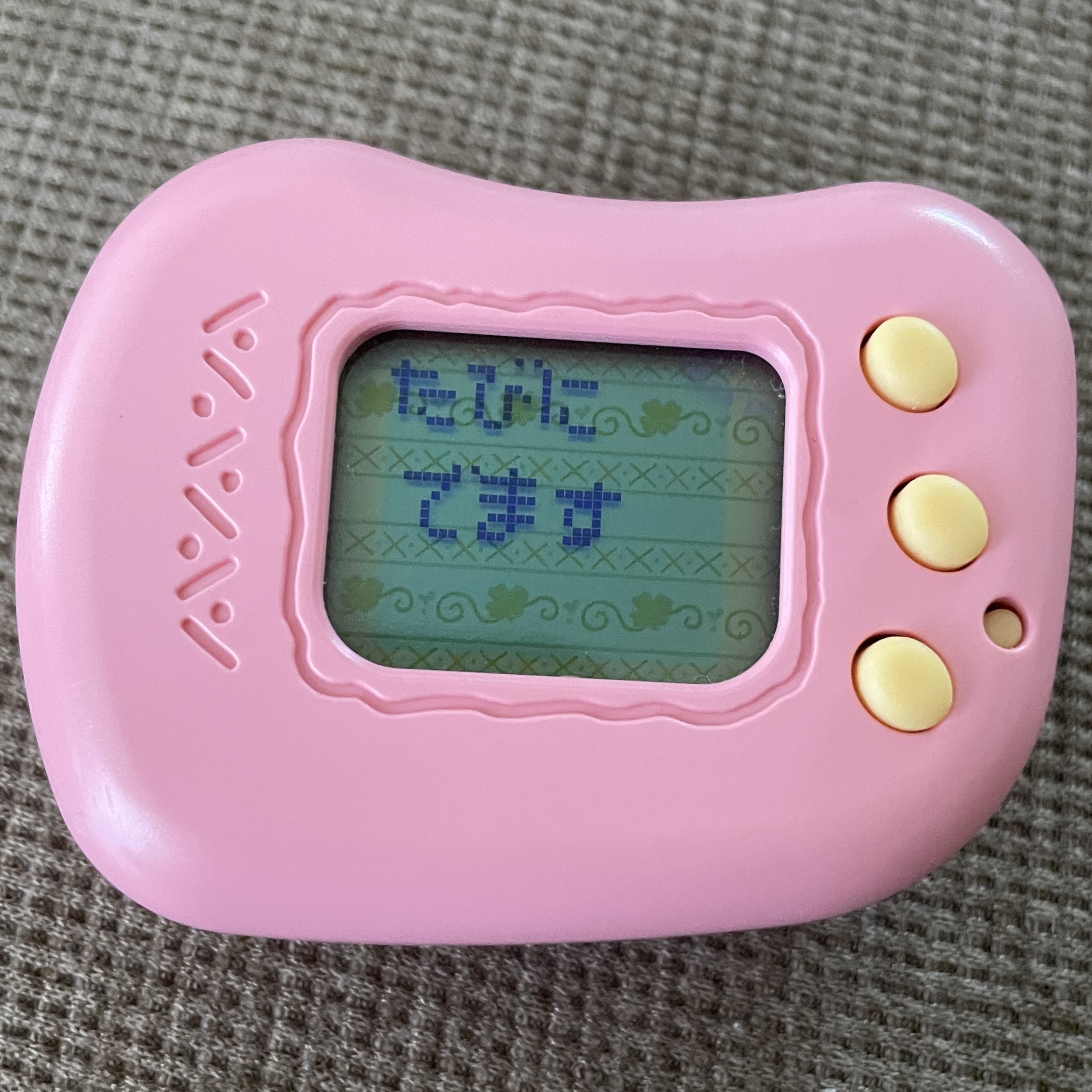 15461565_2