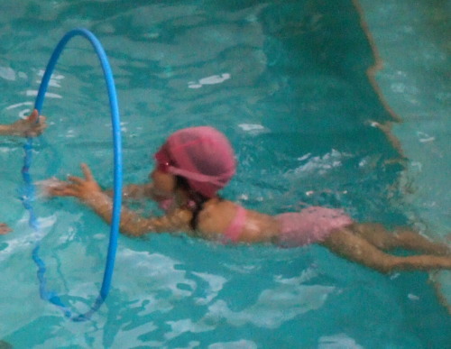 プール 会津インターナショナルスイミングスクール 会津でおさんぽ