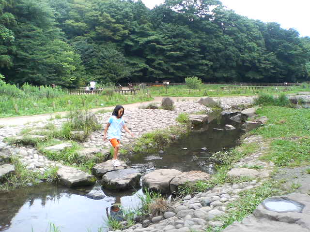 大和市 引地川公園 泉の森 ブログはじめました