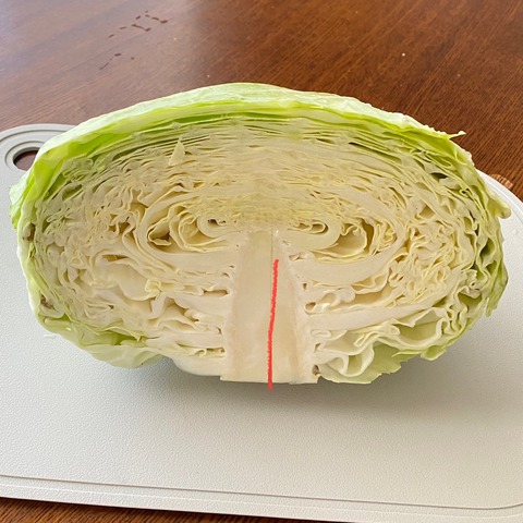 FullSizeRender