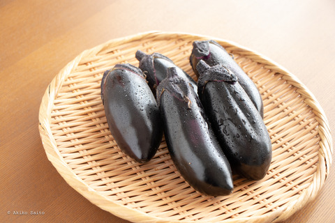 gunma_nasu-2