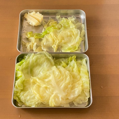FullSizeRender