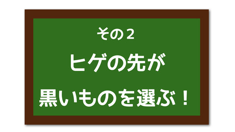 とうもろこし2.002