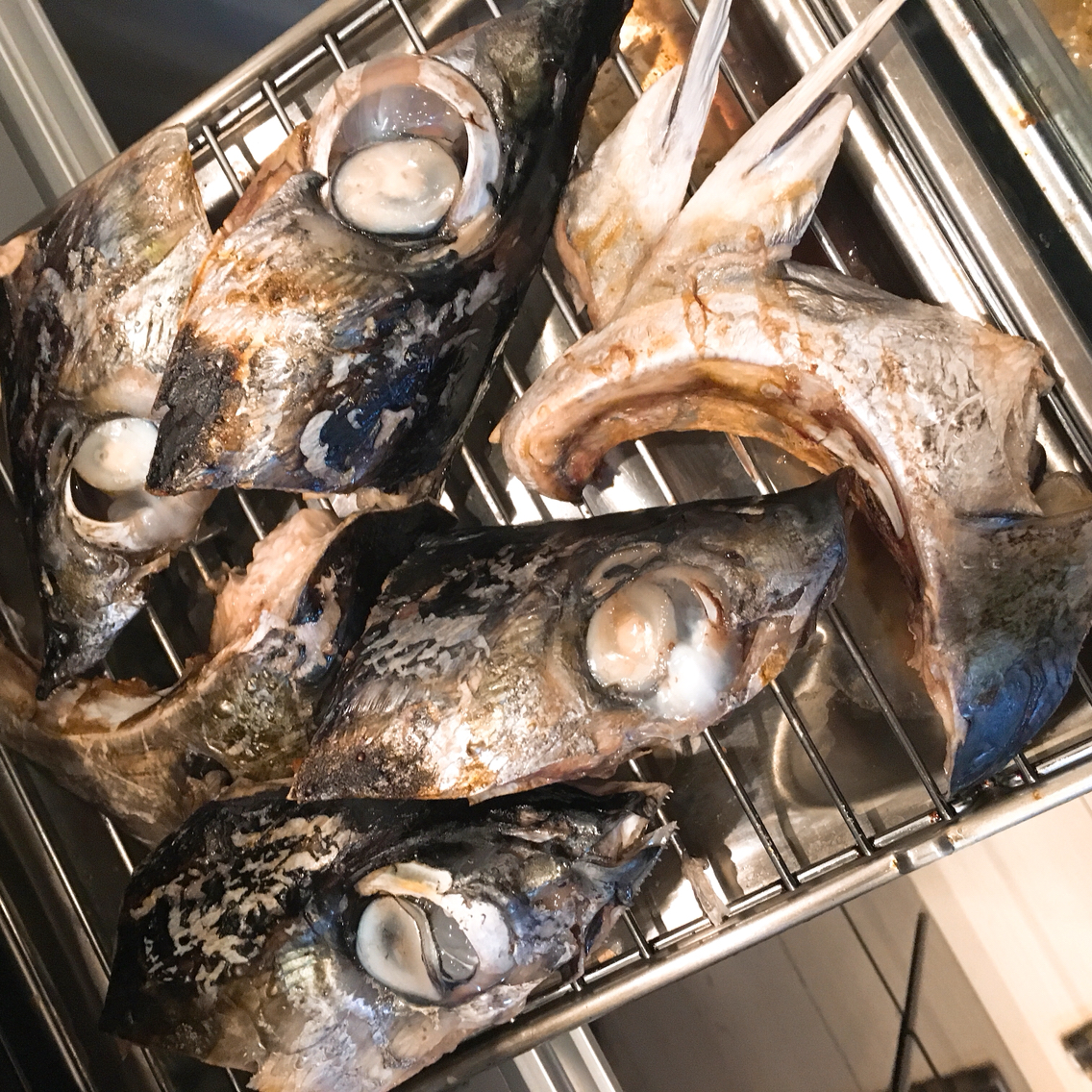 マグロの解体ショー 圧力鍋で 時短 簡単 うちごはん Powered By ライブドアブログ マグロの解体ショー 圧力鍋で 時短 簡単 うちごはん Powered By ライブドアブログ