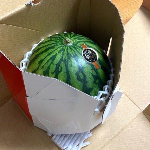 FullSizeRender
