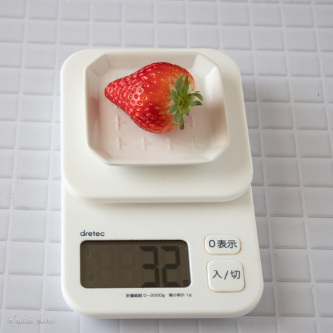 モニター3月-11