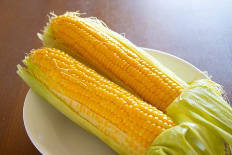 corn-2